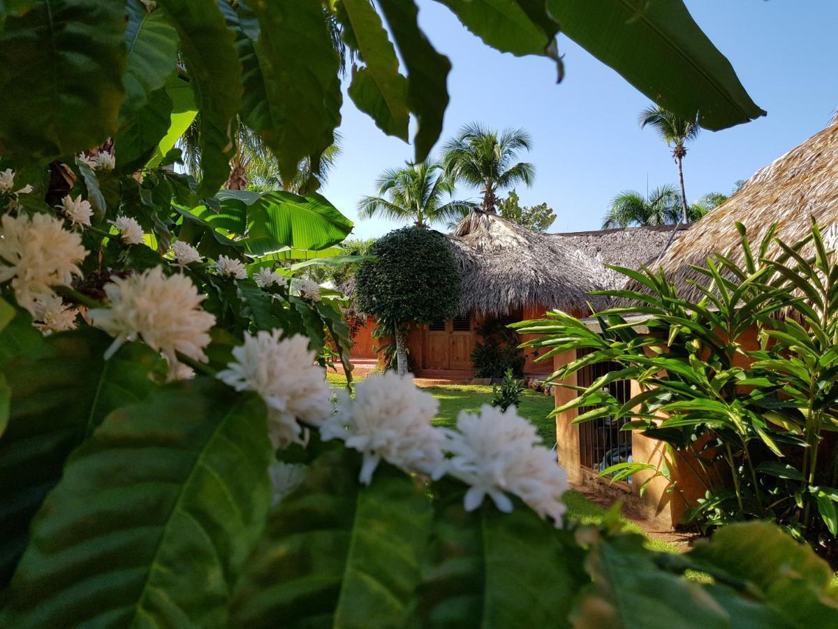 Solazul Bed & Breakfast Las Galeras Luaran gambar