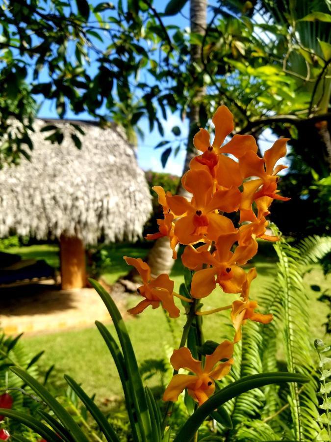 Solazul Bed & Breakfast Las Galeras Luaran gambar